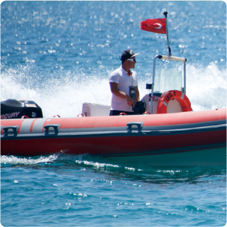 Military Organizations